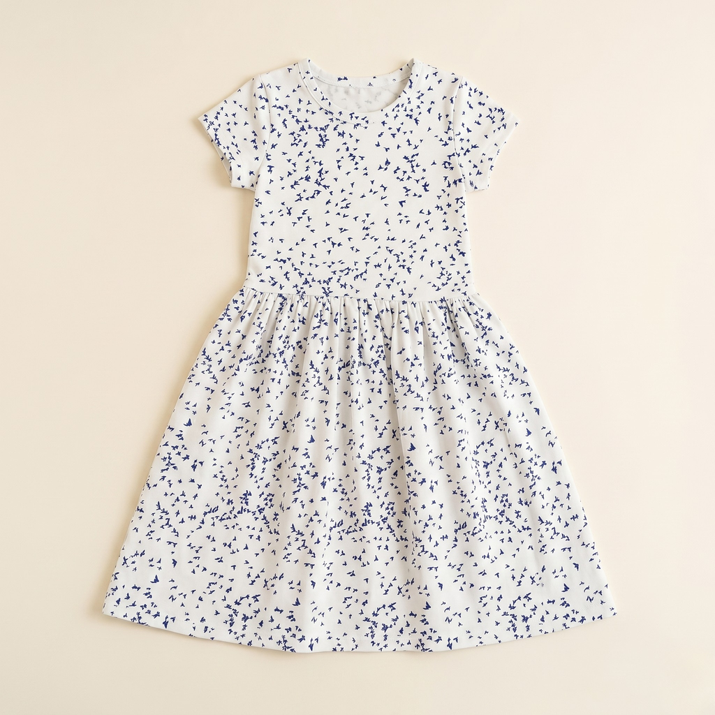 Girls Frock Blue Birds White