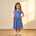 Girls Frock Blue White Shades