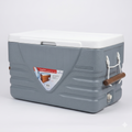 70L Ice Box 3501