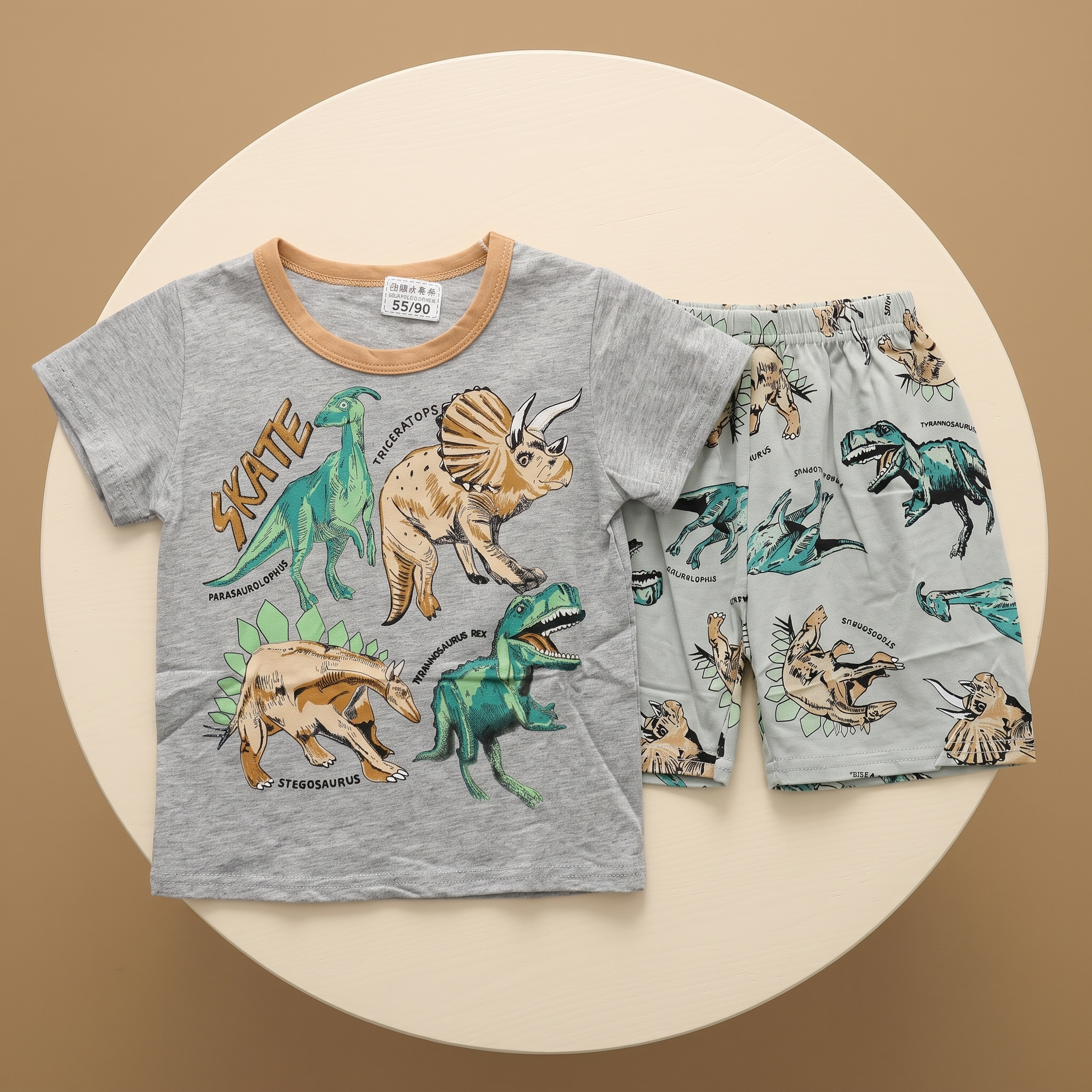 Skate Dino Grey H/S Short Set