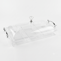 Clear Rectangular Acrylic Tray 3