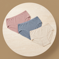 Womens Underwear 3Pcs Set 1010-12