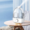 Facial Steamer HD-2106