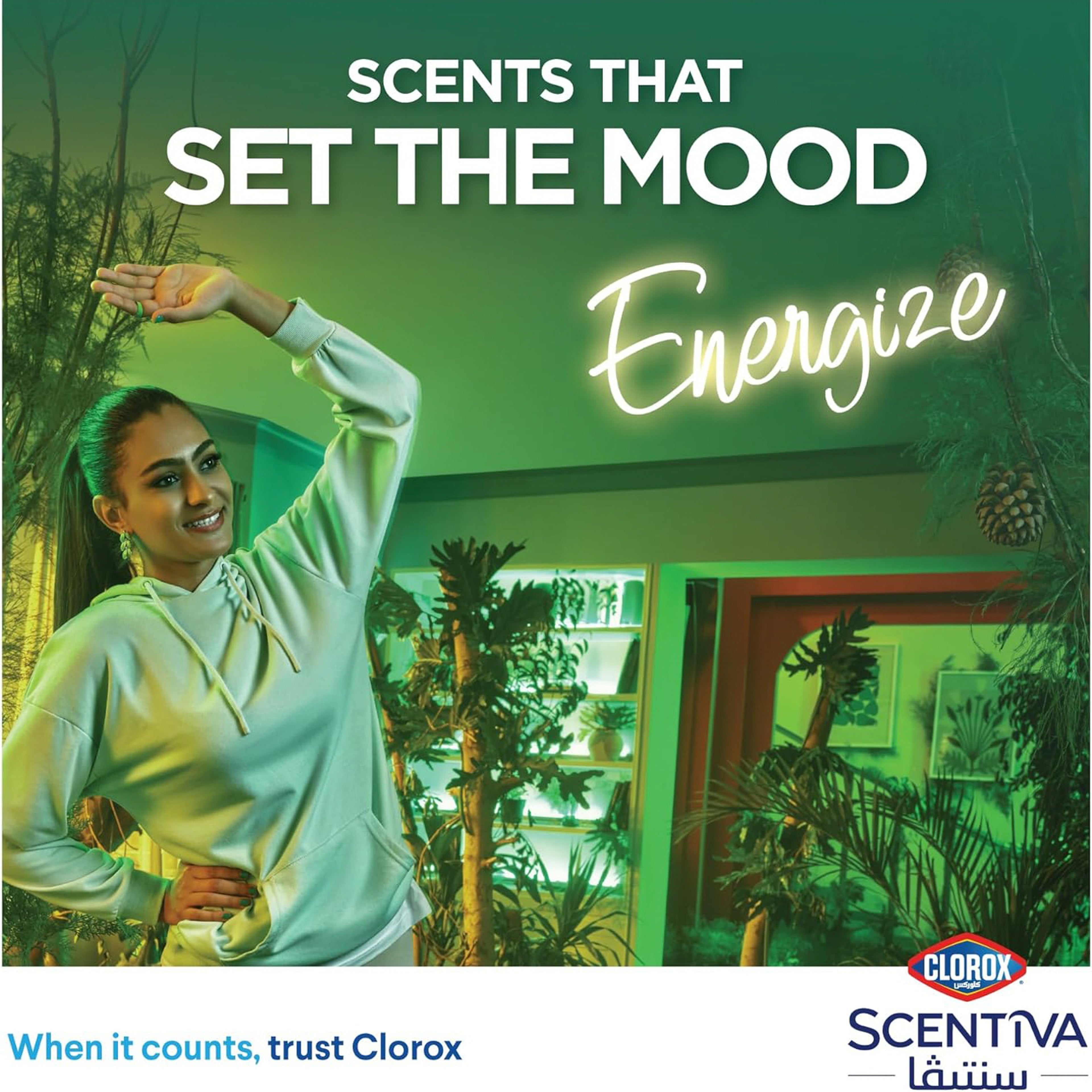 Clorox Scentiva pine 3 ltr