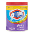Clorox Powder For Colors 500g